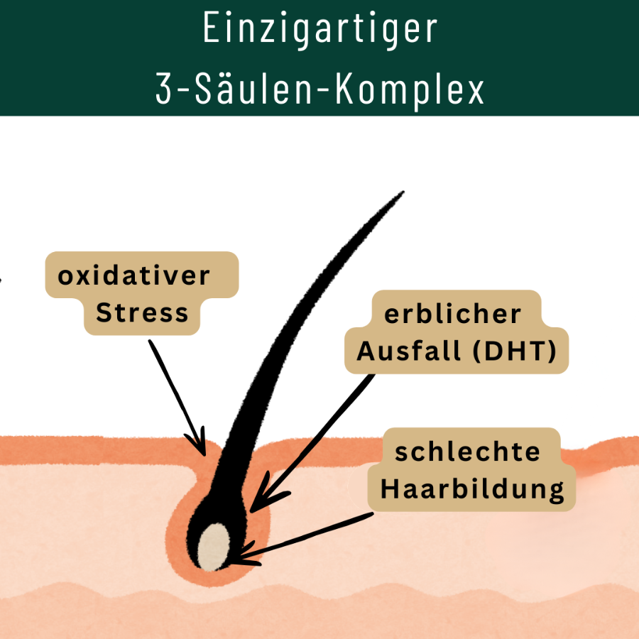 Haarkapseln mit Sägepalme und Nährstoffen (60-Tage-Kur)
